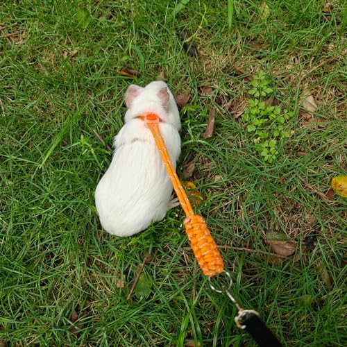 Gomicraft pet walking gear for small animals up to 20 pounds