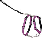 PetSafe 3 in 1 No-Pull Dog Harness for Medium Dogs - Walk, Train or Travel - Helps Pets from Pulling on Walks - Seatbelt Loop Doubles as Quick Access Handle - Reflective- Medium, Black - Image 10