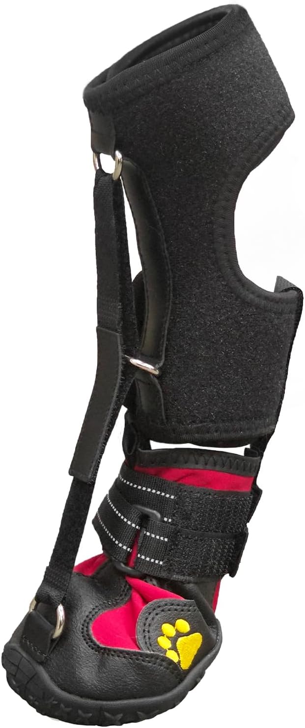 Haggemi strap on drop foot brace packaging and contents