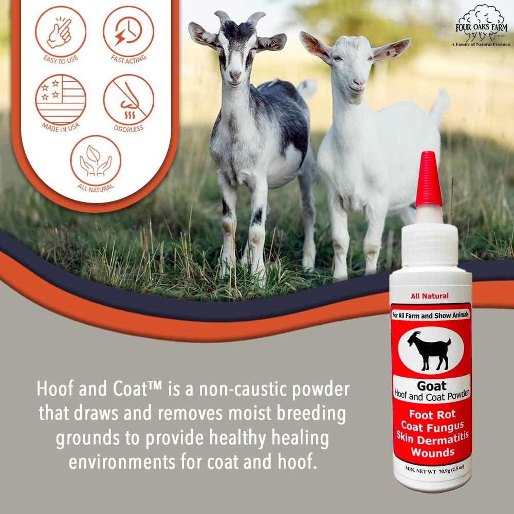 All-natural animal foot rot treatment powder bottle close up.
