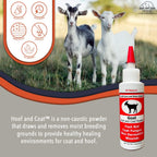 All-natural animal foot rot treatment powder bottle close up.