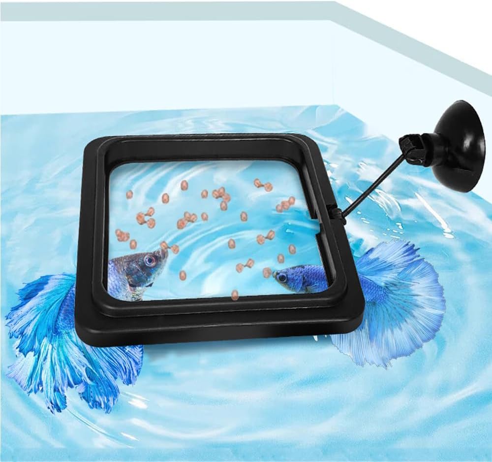 Fish Feeding Ring, Fish Safe Floating Food Feeder Circle Blue, with Suction Cup Aquarium, Square and Round Shape Fish Tank Towels - for Guppy, Betta, Goldfish, Etc (1 Circle) - Image 12