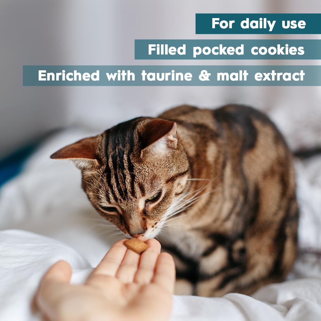 AmeizPet cat treats enriched with taurine and malt extract for daily wellness.