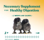 Manna Pro poultry digestive health supplement bag displaying the no artificial ingredients seal