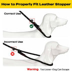 Heavy duty no pull dog training lead packaging presentation of the black variant.