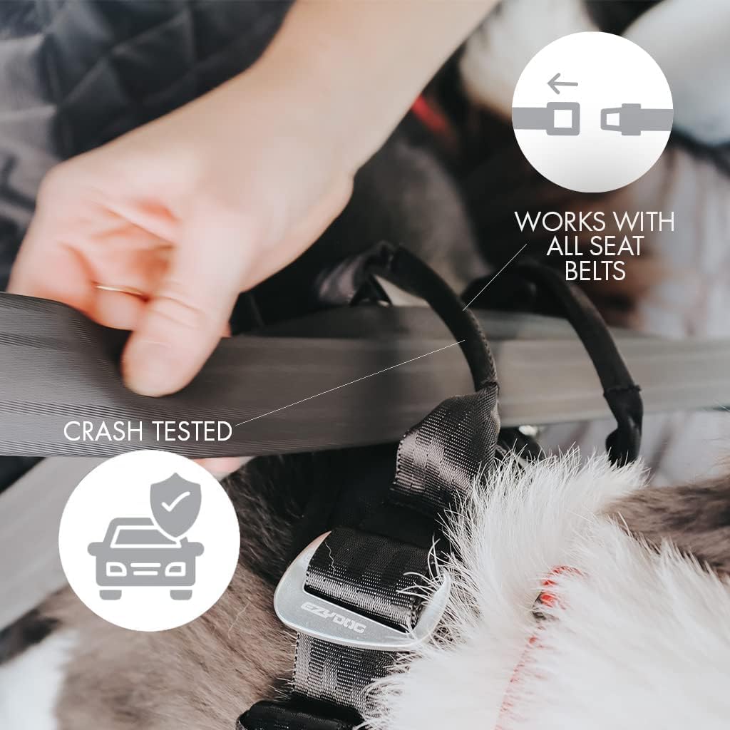 EzyDog safety harness showing crash tested webbing handles