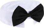 Adjustable hook and loop closure on Shappy pet tie
