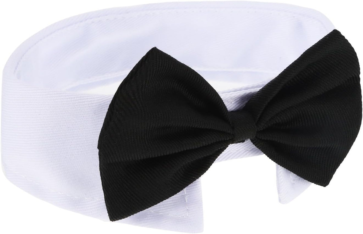 Adjustable hook and loop closure on Shappy pet tie