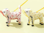Full coverage four legs pet rain jacket showing the clear transparent hood