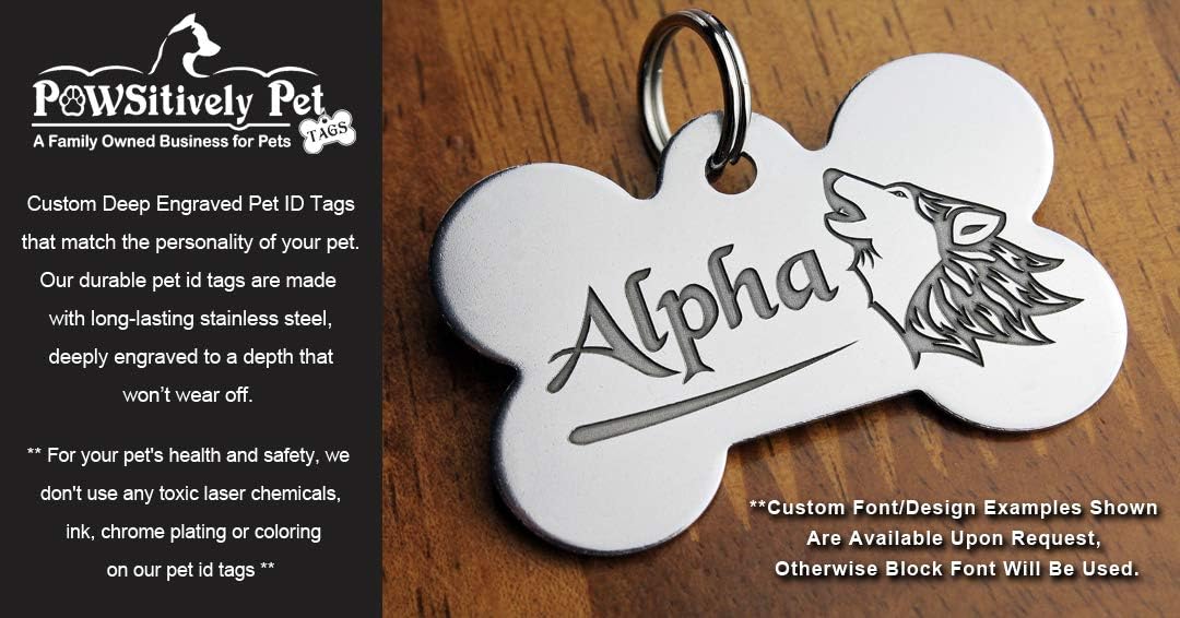 Pawsitively Pet Tags stainless steel personalized nameplate displaying double sided custom text engraving options for pet safety.