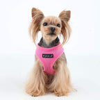 Puppia dog harness quick-release buckle detail