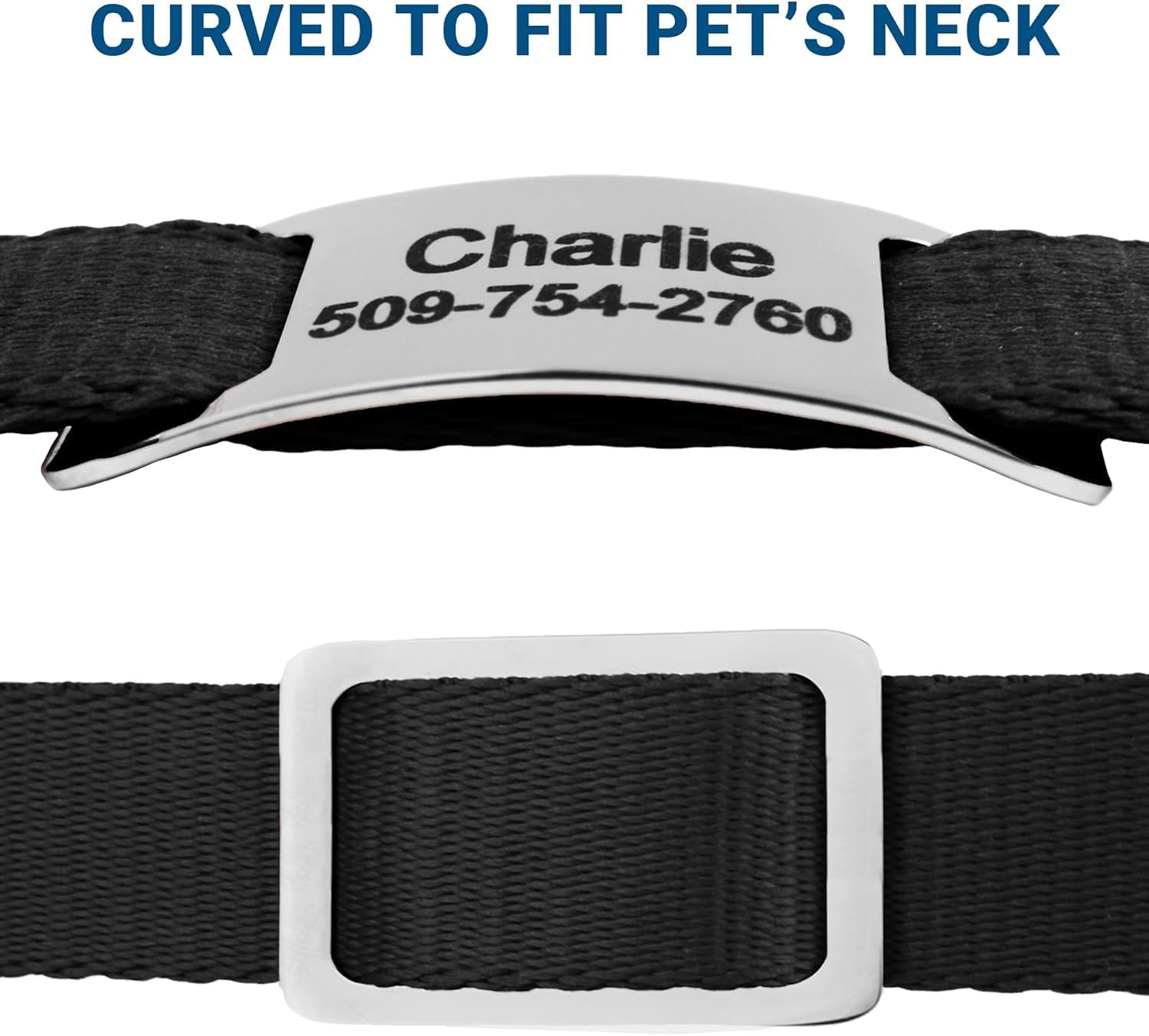 GoTags personalized noise free dog tag curved to fit flat on a collar