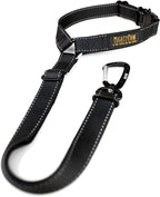 Mighty Paw dog seat belt front view with metal carabiner