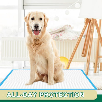 IMMCUTE multi pet disposable underpads stacked high in a room