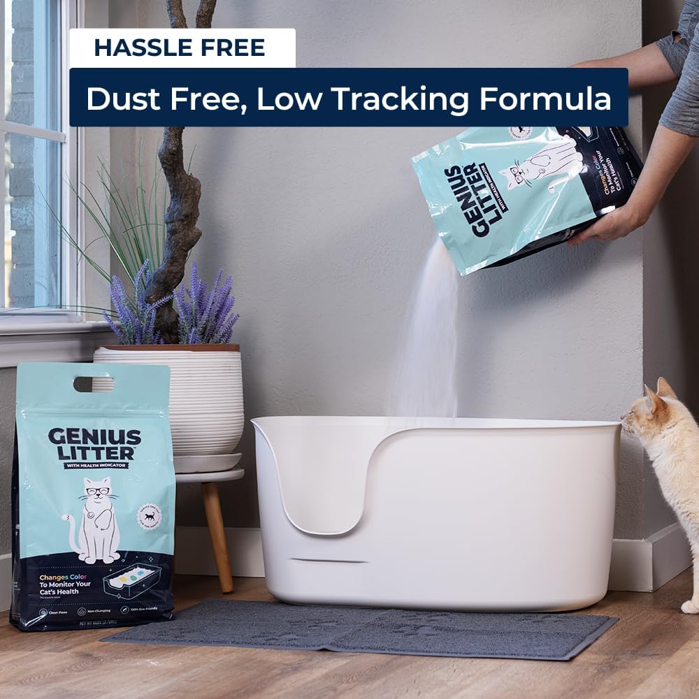 Ginger tabby cat sitting next to a clean litter box with Genius Litter