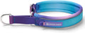 Spark Paws Martingale Dog Collar front view with 90s retro design