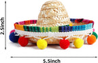Small straw sombrero hat with colorful trim for pets