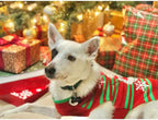 NACOCO winter pet sweater medium size showing chest flexibility