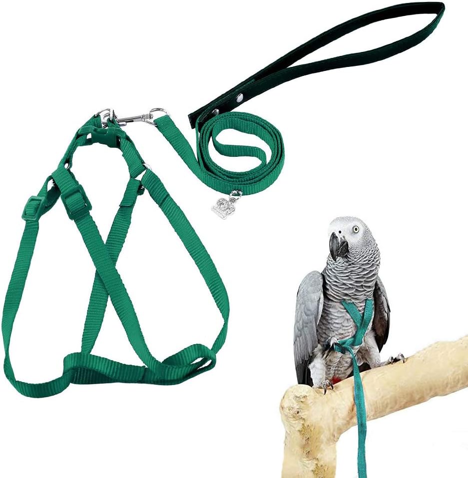 ASOCEA adjustable bird harness and leash front view showing green nylon webbing.