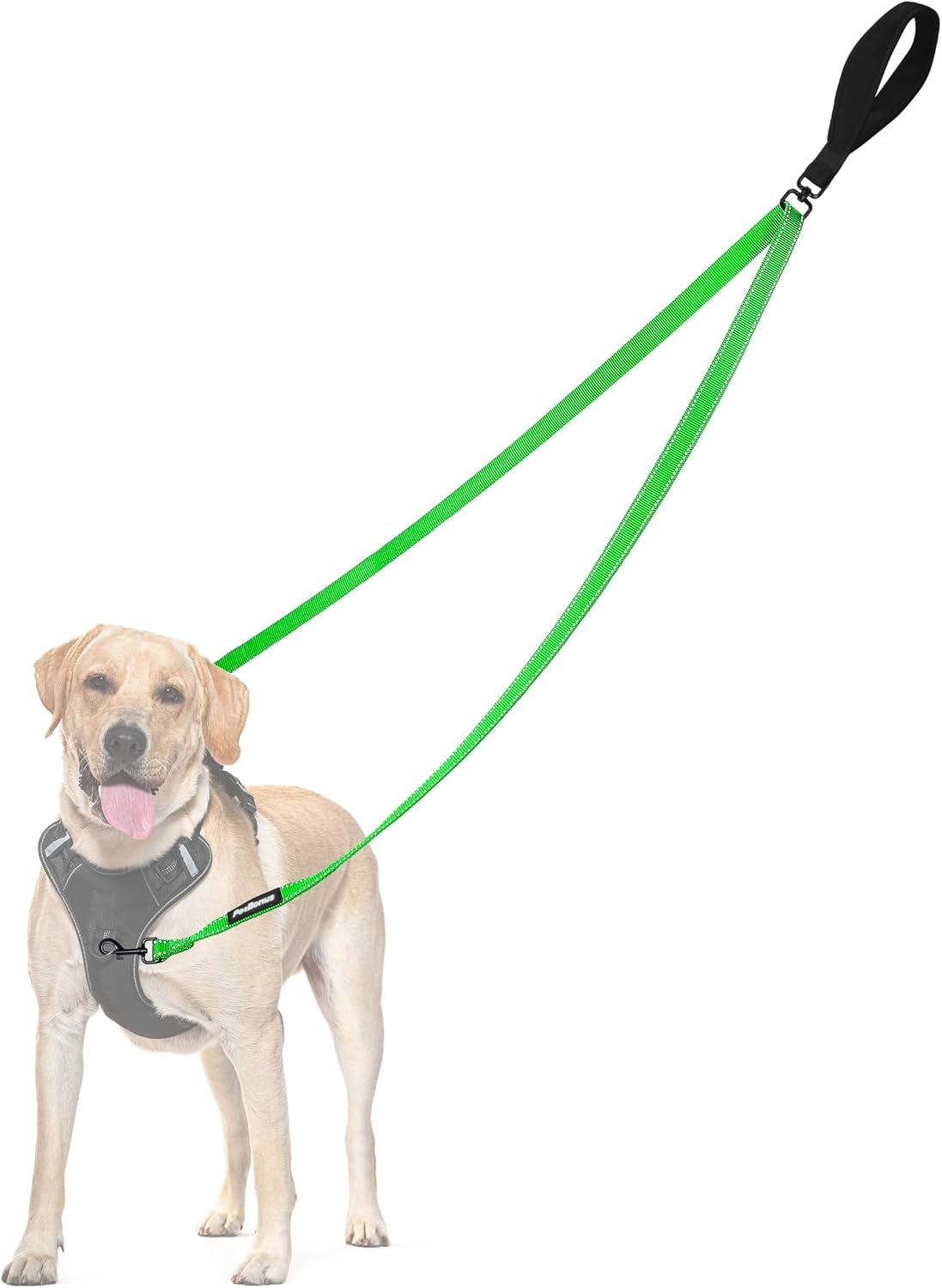 PetBonus Two Point Control Dog Leash, Works with No Pull Harnesses, No Tangle Training Leashes, Soft Padded and Reflective Walking Lead, Converts to Single Lead for Medium Large Dogs (Black) - Image 10