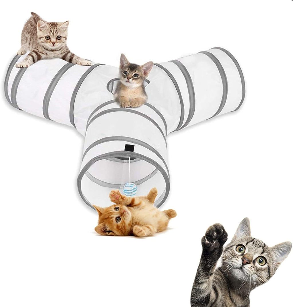 Cats playing inside the interconnected 3 way interactive cat tunnel