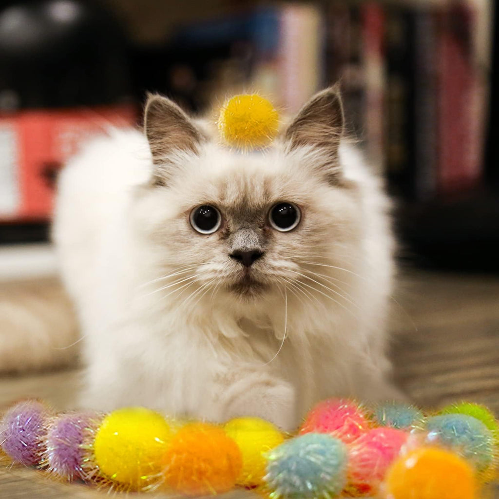 Brightly colored interactive chasing toys for domestic cats presented in a complete set.