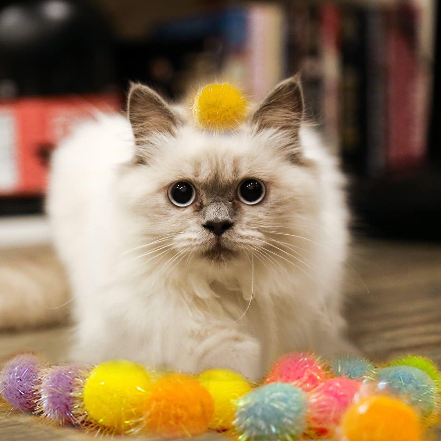 Brightly colored interactive chasing toys for domestic cats presented in a complete set.