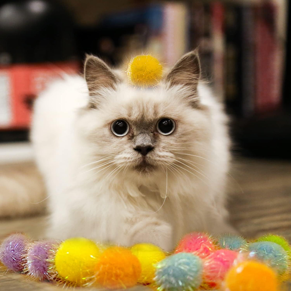Brightly colored interactive chasing toys for domestic cats presented in a complete set.