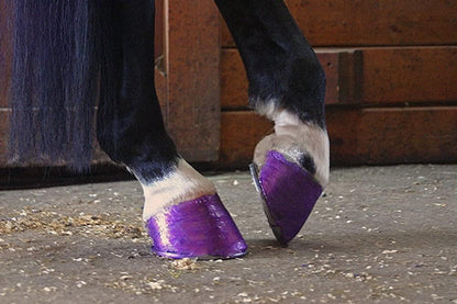 Tack Shack of Ocala protective glitter coat for horse hooves