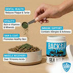 Sprinkling Back 40 Dogs kelp powder on pet food bowl