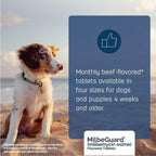 Authentic MilbeGuard 6 month supply box for pets imported from USA