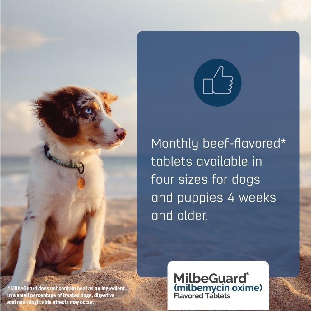 Authentic MilbeGuard 6 month supply box for pets imported from USA