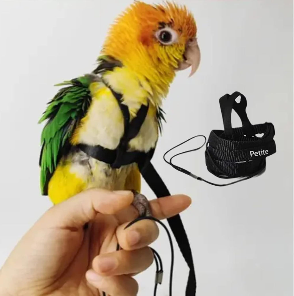 Barn Eleven adjustable bird harness front view with leash