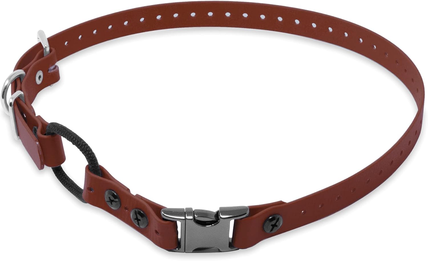 Educator Quick Snap collar showing adjustment buckle