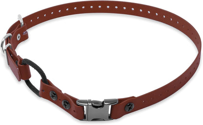 Educator Quick Snap collar showing adjustment buckle