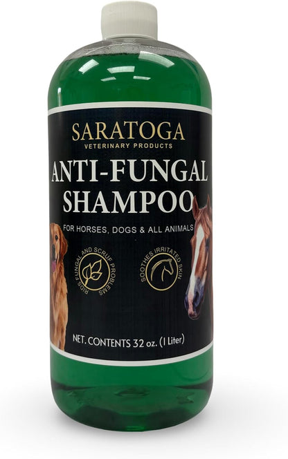 Professional equine care medicated shampoo for horses