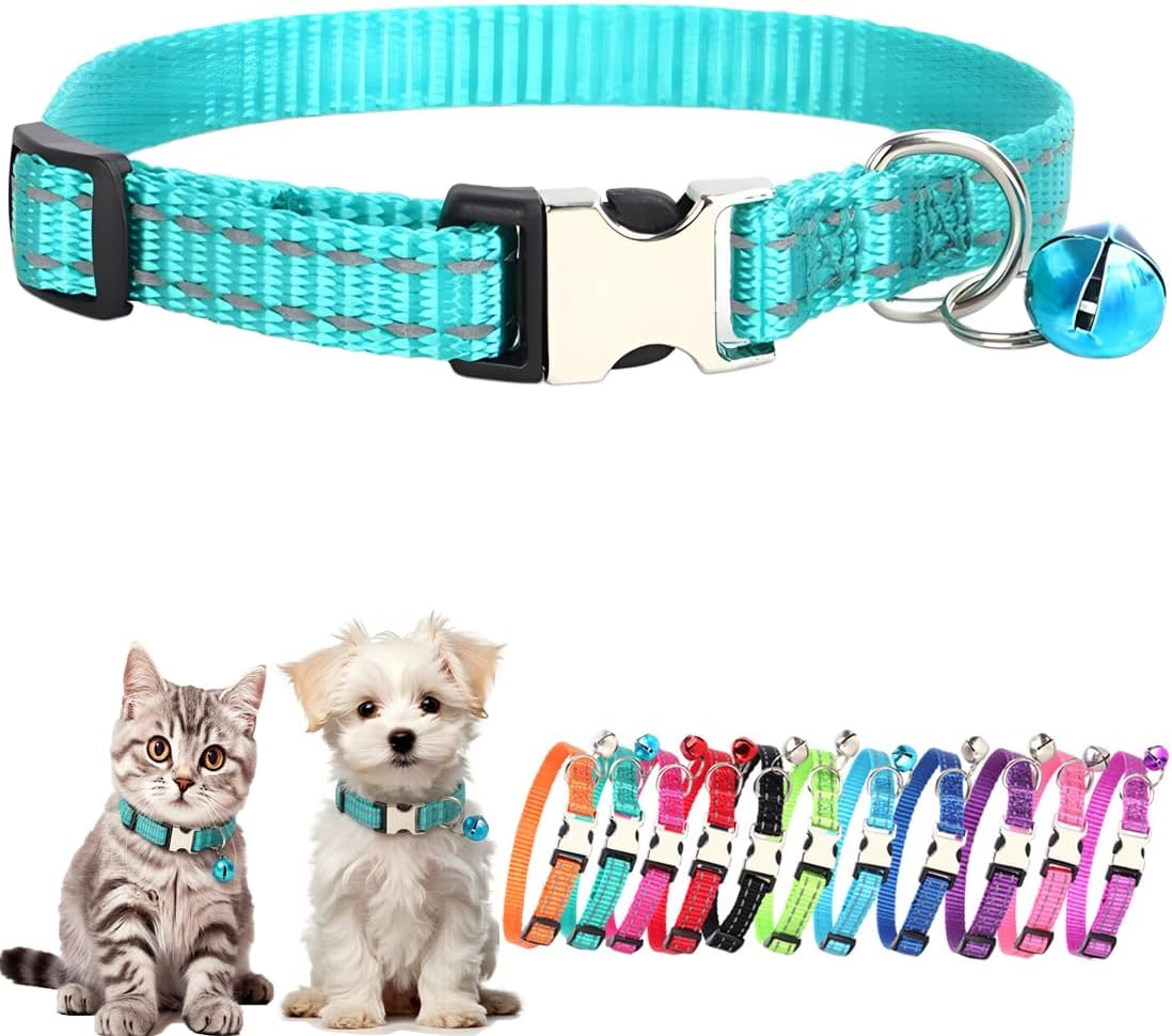 Red nylon kitten collar with shiny silver tracking bell attached