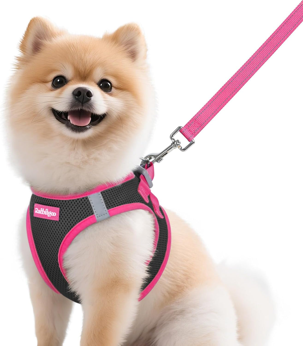 rabbitgoo Dog Harness Small Sized and Leash Set, Step-in Breathable Pet Harness, Soft Walking Reflective Puppy Vest for Small Dogs, Black & Rose Red, S - Image 12