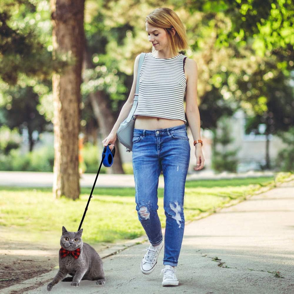 Small dog walking with Gbivbe 16.5ft blue retractable leash