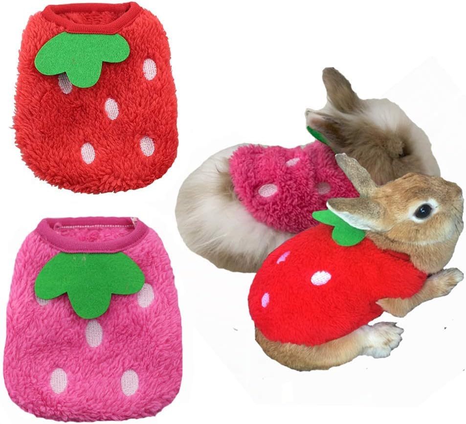 ANIAC rabbit clothes strawberry print lifestyle image