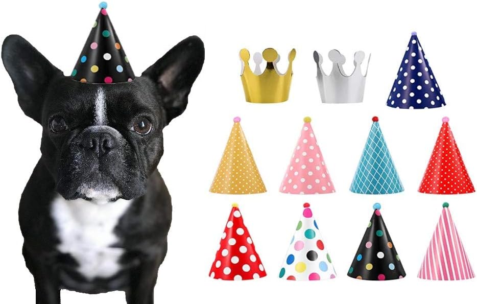 Generic 11 piece dog party hat set front view