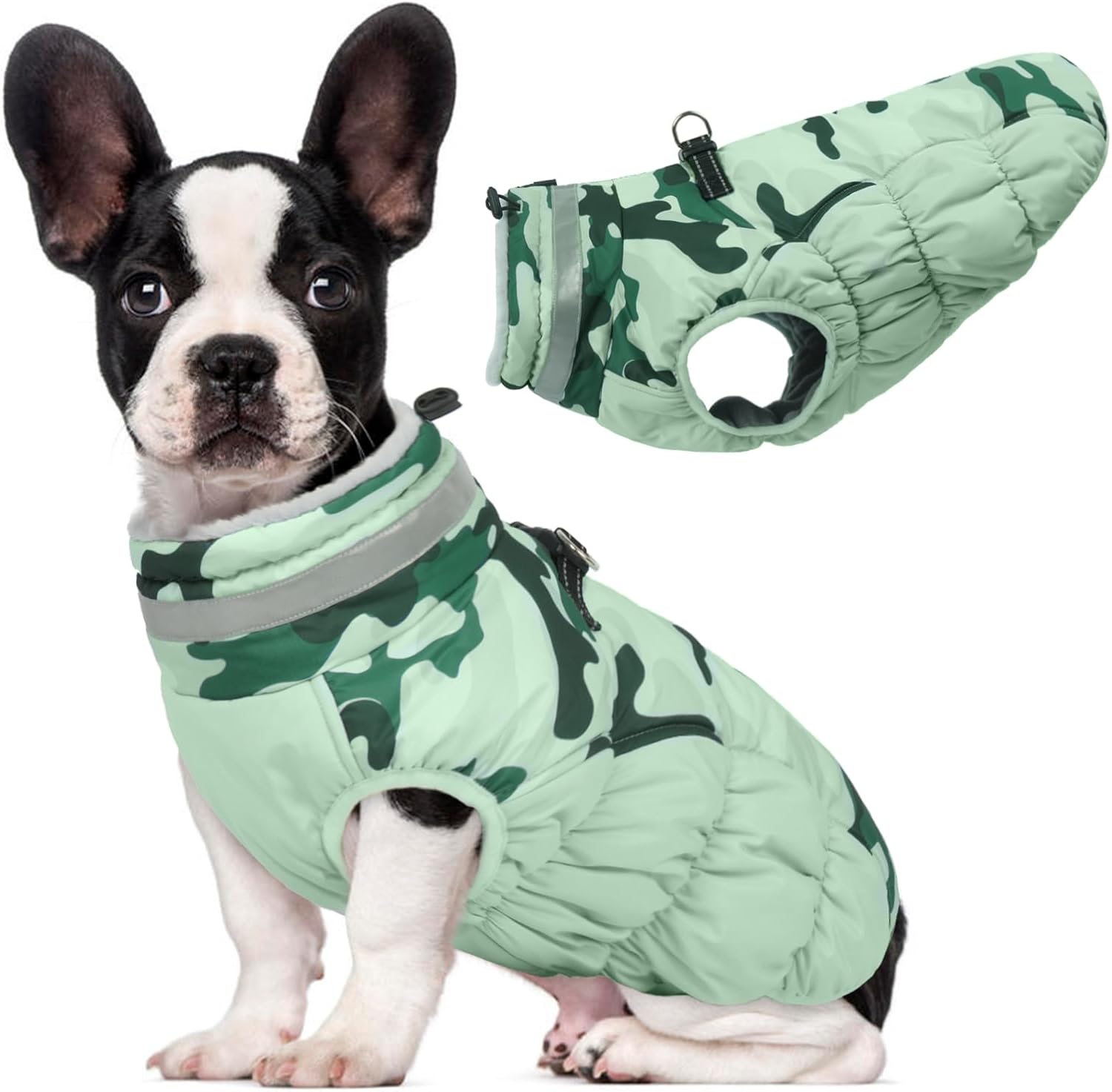 Lelepet dog coat elastic belly adjustment feature