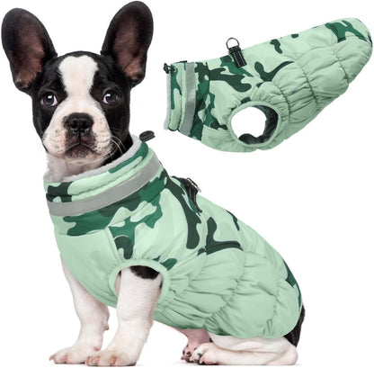 Lelepet dog coat elastic belly adjustment feature