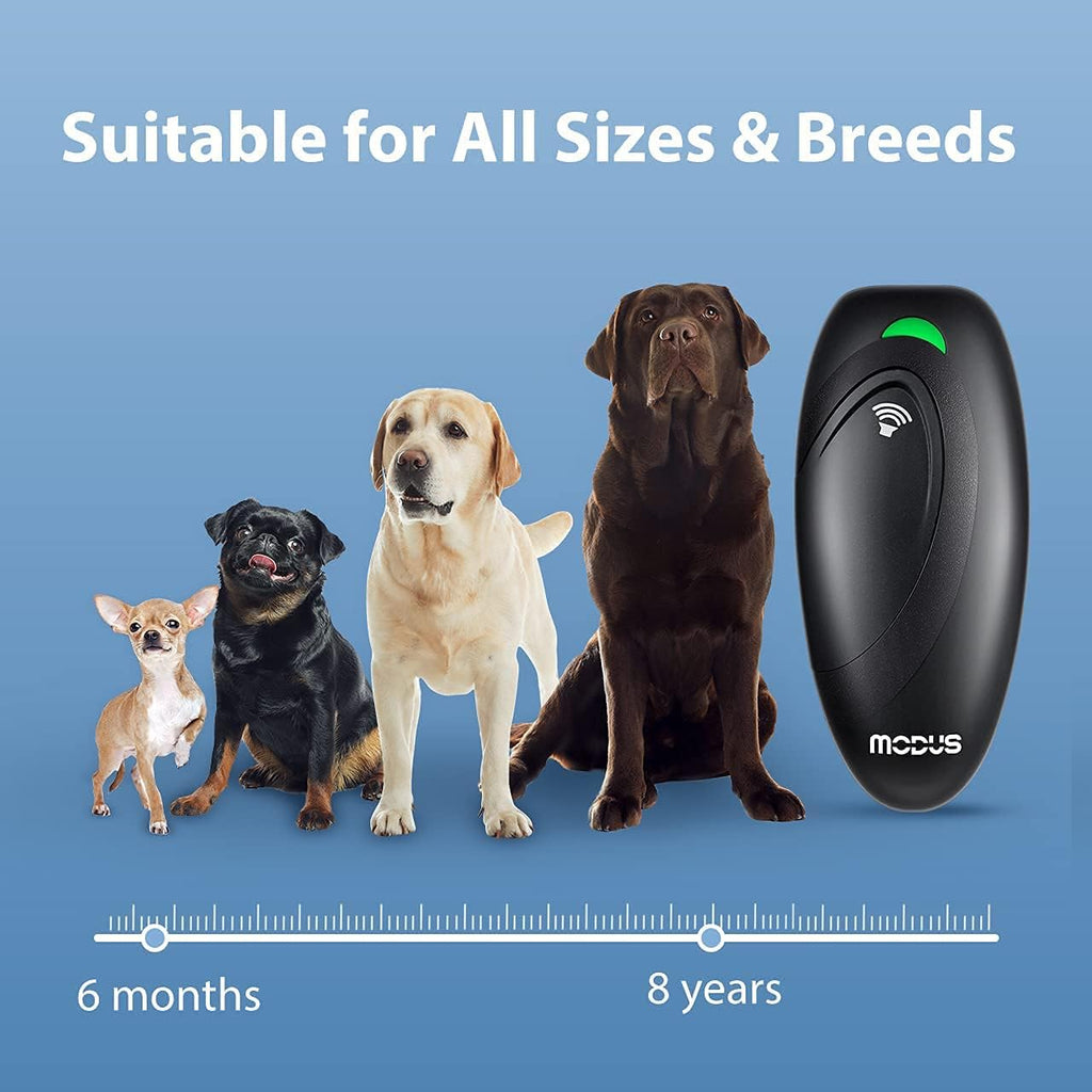 Modus dog training aid in professional packaging