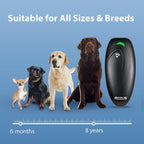 Modus dog training aid in professional packaging