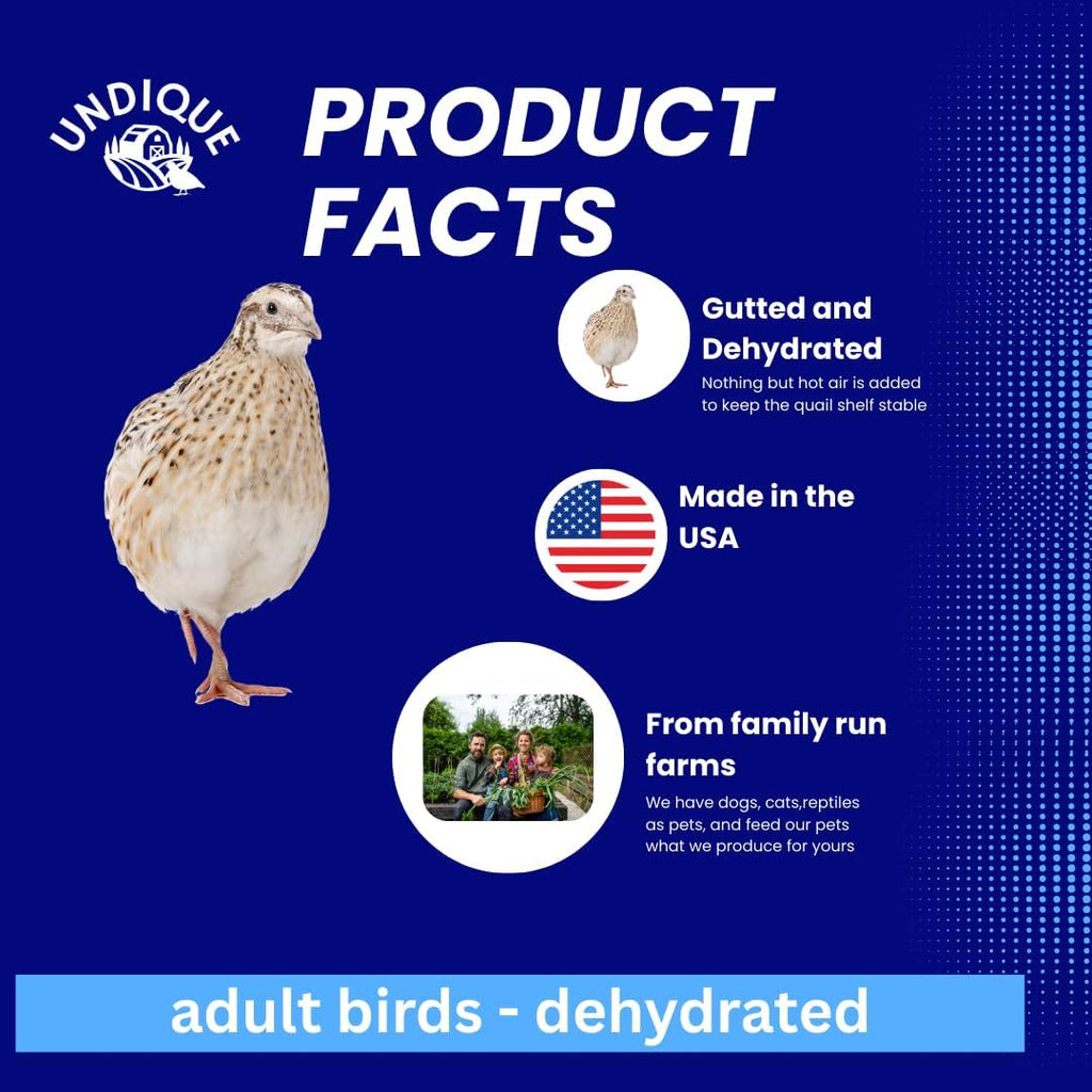 Authentic USA imported Undique quail prey for falconry