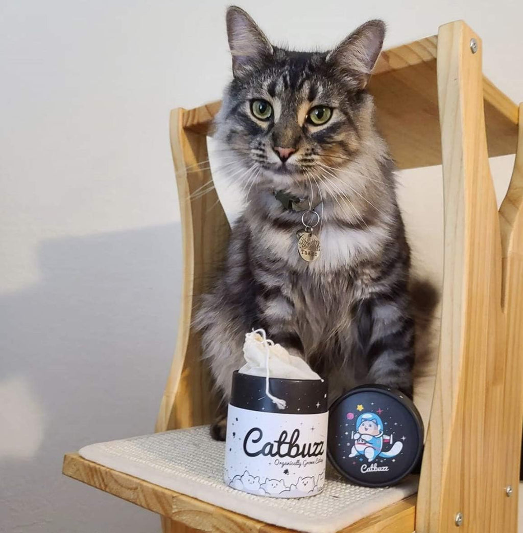 Eco-friendly biodegradable packaging details for Pettobox catnip blend