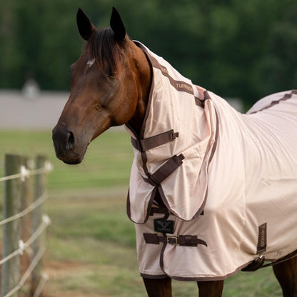 Rear view of horse wearing TuffRider Comfy Mesh fly sheet