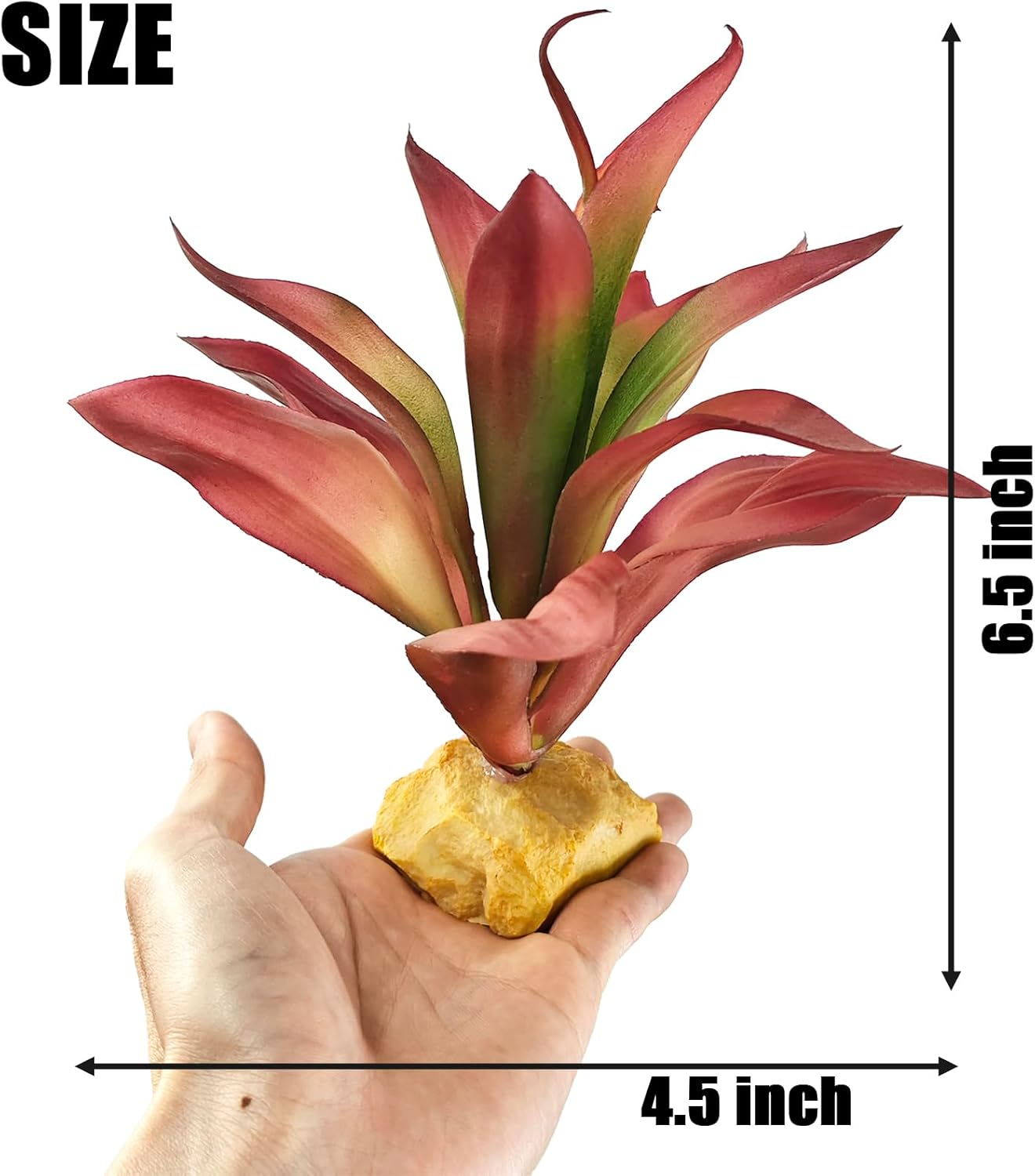 Woyrise Reptile Plants Succulent, Artificial Desert Plant for Terrarium Decor, Bearded Dragon Tank Accessories fit Gecko Lizard Chameleon Ball Python Snake - Guzmania lingulata - Image 4