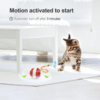 Jkanti indoor cat toy showing blue light mode